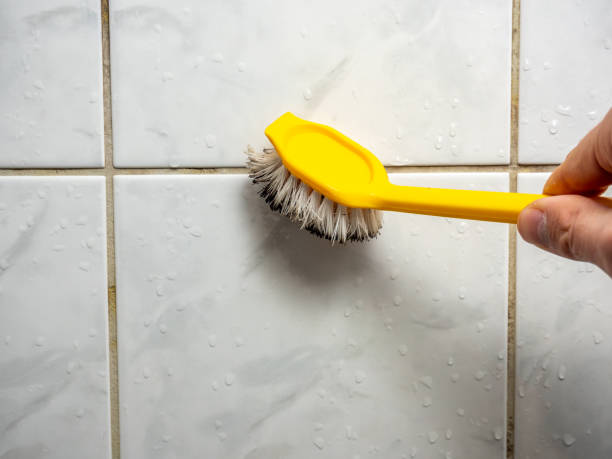 Best Mold Removal Process  in St Peter, WI
