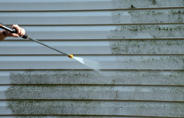 Best Mold Damage Repair  in St Peter, WI