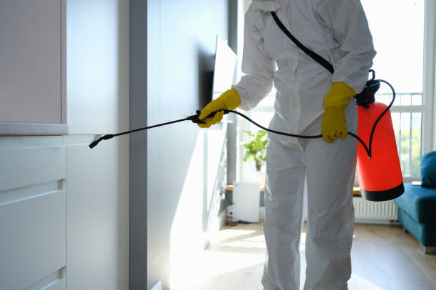 Best Commercial Mold Removal  in St Peter, WI